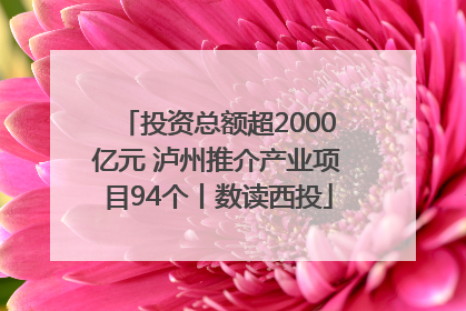投资总额超2000亿元 泸州推介产业项目94个丨数读西投