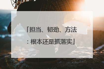 担当、韧劲、方法：根本还是抓落实