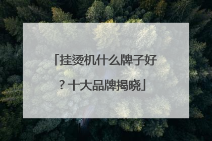 挂烫机什么牌子好？十大品牌揭晓