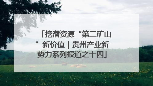 挖潜资源“第二矿山”新价值｜贵州产业新势力系列报道之十四