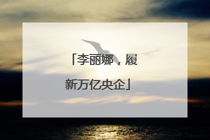 李丽娜，履新万亿央企