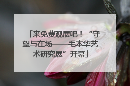 来免费观展吧！“守望与在场——毛本华艺术研究展”开幕