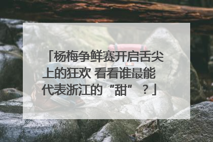 杨梅争鲜赛开启舌尖上的狂欢 看看谁最能代表浙江的“甜”？