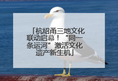 杭绍甬三地文化联动启幕！“同一条运河”激活文化遗产新生机