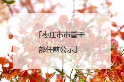 枣庄市市管干部任前公示