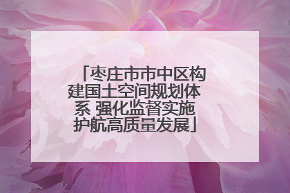 枣庄市市中区构建国土空间规划体系 强化监督实施护航高质量发展