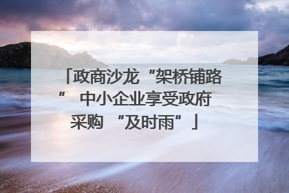 政商沙龙“架桥铺路” 中小企业享受政府采购 “及时雨”