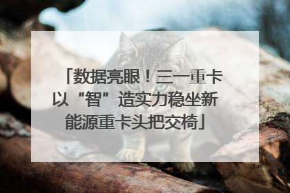 数据亮眼！三一重卡以“智”造实力稳坐新能源重卡头把交椅