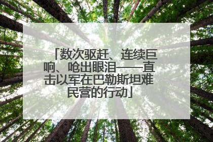 数次驱赶、连续巨响、呛出眼泪——直击以军在巴勒斯坦难民营的行动