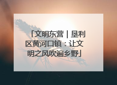 文明东营｜垦利区黄河口镇：让文明之风吹遍乡野