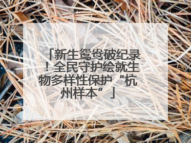 新生鸳鸯破纪录！全民守护绘就生物多样性保护“杭州样本”
