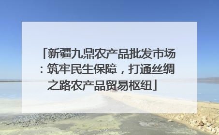 新疆九鼎农产品批发市场：筑牢民生保障，打通丝绸之路农产品贸易枢纽