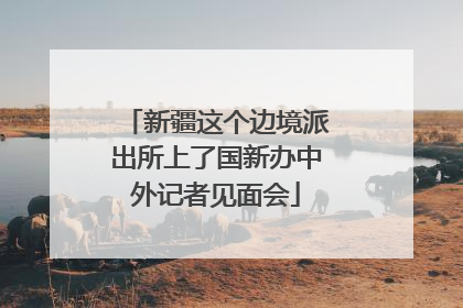 新疆这个边境派出所上了国新办中外记者见面会