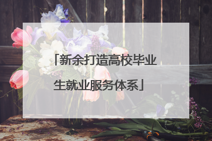新余打造高校毕业生就业服务体系
