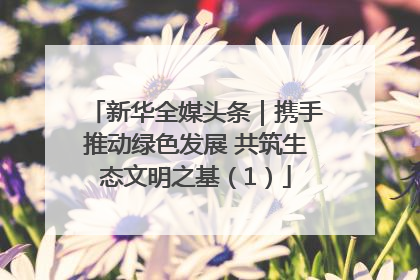 新华全媒头条｜携手推动绿色发展 共筑生态文明之基（1）