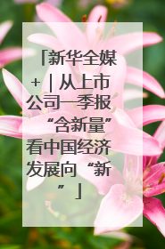新华全媒+｜从上市公司一季报“含新量”看中国经济发展向“新”