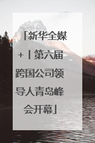 新华全媒+丨第六届跨国公司领导人青岛峰会开幕