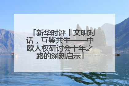 新华时评丨文明对话，互鉴共生——中欧人权研讨会十年之路的深刻启示