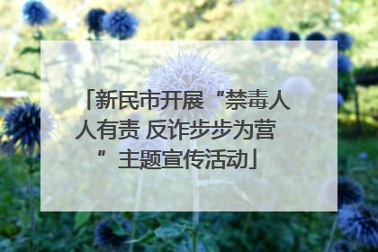 新民市开展“禁毒人人有责 反诈步步为营”主题宣传活动