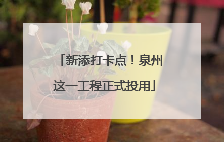 新添打卡点！泉州这一工程正式投用