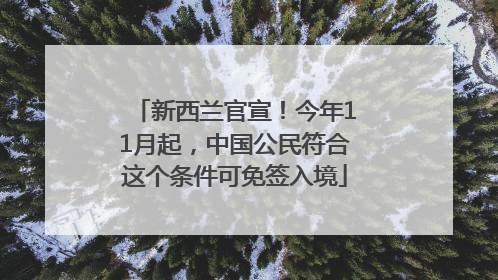 新西兰官宣！今年11月起，中国公民符合这个条件可免签入境
