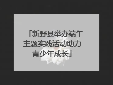 新野县举办端午主题实践活动助力青少年成长