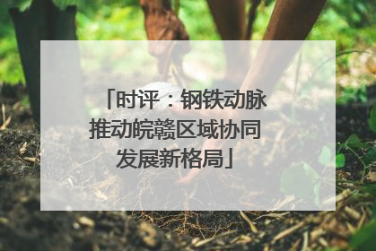 时评：钢铁动脉推动皖赣区域协同发展新格局