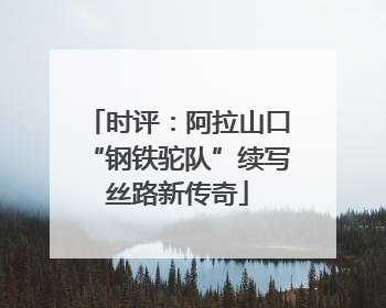 时评：阿拉山口“钢铁驼队”续写丝路新传奇