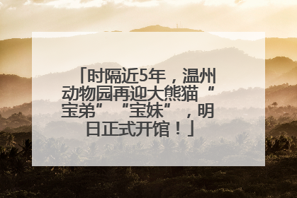 时隔近5年，温州动物园再迎大熊猫“宝弟”“宝妹”，明日正式开馆！
