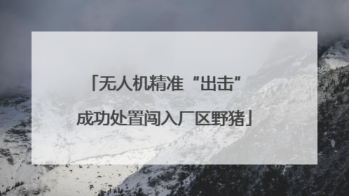 无人机精准“出击” 成功处置闯入厂区野猪
