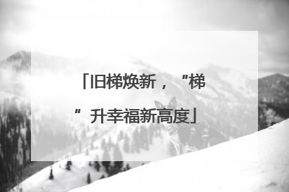 旧梯焕新，“梯”升幸福新高度