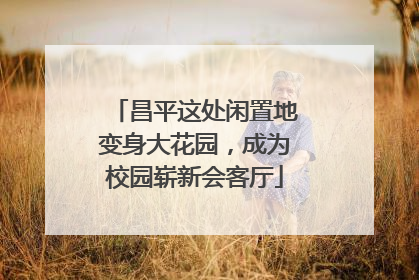 昌平这处闲置地变身大花园，成为校园崭新会客厅