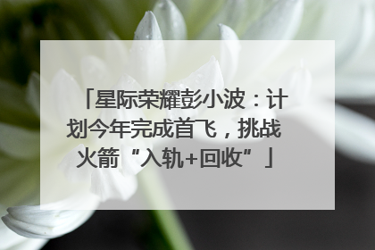星际荣耀彭小波：计划今年完成首飞，挑战火箭“入轨+回收”