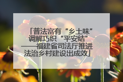 普法富有“乡土味” 调解巧织“平安结”——福建省司法厅推进法治乡村建设出成效