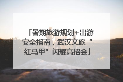 暑期旅游规划+出游安全指南，武汉文旅“红马甲”闪耀高招会