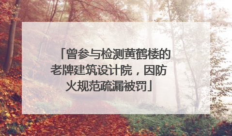曾参与检测黄鹤楼的老牌建筑设计院，因防火规范疏漏被罚