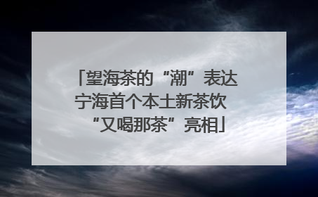 望海茶的“潮”表达 宁海首个本土新茶饮“又喝那茶”亮相