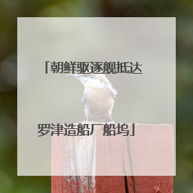 朝鲜驱逐舰抵达罗津造船厂船坞