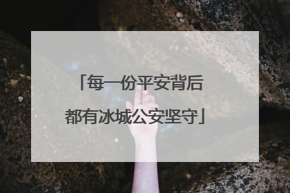 每一份平安背后 都有冰城公安坚守