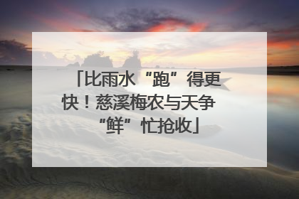 比雨水“跑”得更快！慈溪梅农与天争“鲜”忙抢收