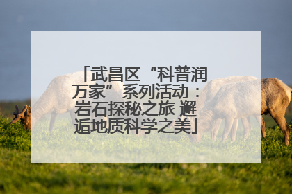 武昌区“科普润万家”系列活动：岩石探秘之旅 邂逅地质科学之美