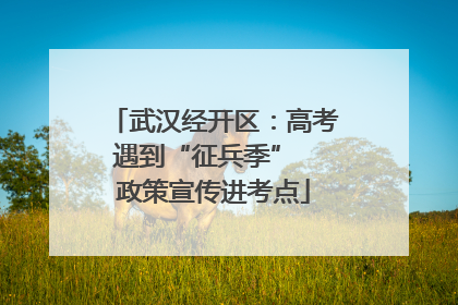 武汉经开区：高考遇到“征兵季”  政策宣传进考点