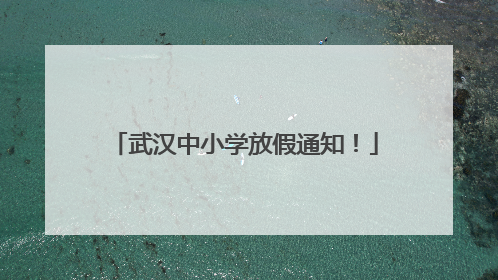 武汉中小学放假通知！