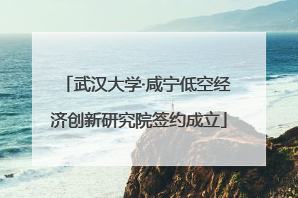 武汉大学·咸宁低空经济创新研究院签约成立
