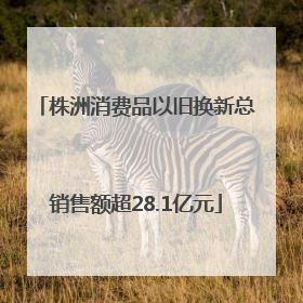 株洲消费品以旧换新总销售额超28.1亿元