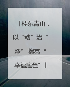 桂东青山：以“动”治“净” 擦亮“幸福底色”