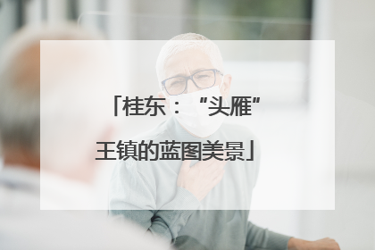 桂东：“头雁”王镇的蓝图美景