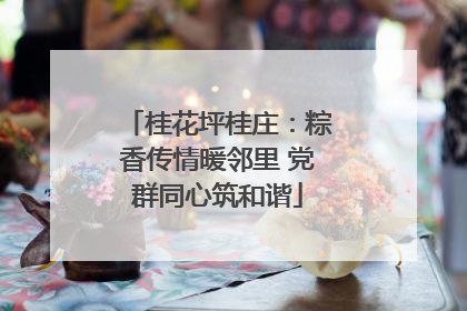 桂花坪桂庄：粽香传情暖邻里 党群同心筑和谐