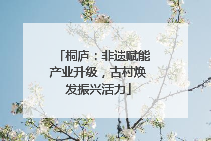 桐庐：非遗赋能产业升级，古村焕发振兴活力