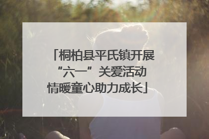 桐柏县平氏镇开展“六一”关爱活动 情暖童心助力成长